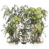 Collaction Plants Bouquet-set08