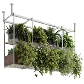 Hanging plants - Rectangle pot - indoor plant set 500