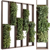 Plants set partition in wooden frame 86 - Vertical graden wall decor box