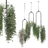 indoor plants in metal box  Set hanging 1325