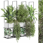 indoor hanging plants in metal box