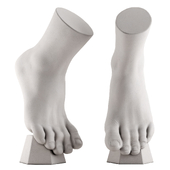 Ecorche plaster training manual foot vertical