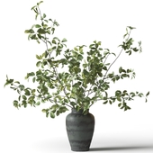 Green branches in a green clay vase