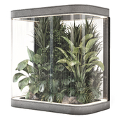 Indoor Plants Garden Behind the Glass - Set 2257