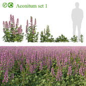 Аконит 1 (Aconitum set 1)