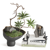 Vase and Plant Decorative set01