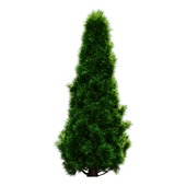 tree for landscape 30 (pine tree)