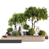 backyard and landscape garden bonsai tree and shrub set 331