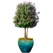 Декоративное цветущее садовое дерево с сиреневыми цветами в горшке вазоне вазе в стиле Прованс.