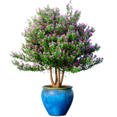Декоративное цветущее садовое дерево в горшке вазоне для декорирования в стиле Прованс