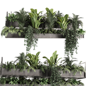 Indoorplants- Hanging Plants - Set035
