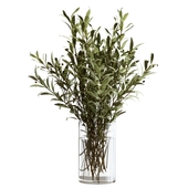 Bouquet of olive branches