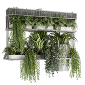 Indoorplants- Hanging Plants - Set036