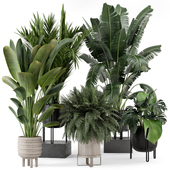 Indoor Plants in Ferm Living Bau Pot Large - Set 2302