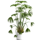 indoor plant set066