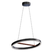 Modern LED Ring Round Black Pendant Light