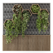 Indoor Wall  Vertical Garden