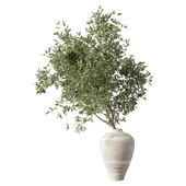 Bouquet Plant No.42-Olive Branch