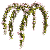 Gate Plant
