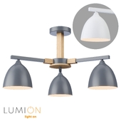 Lumion 8095/8096-3C