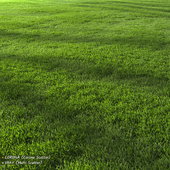 Garden Lawn 2