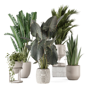 Plant in Ferm Living Bau Pot Large 2524