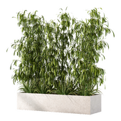 Bamboo_Grass Outdoor Plant Set.104