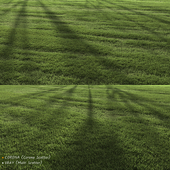 Garden Lawn 3