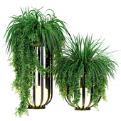 plants set 01