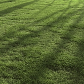Garden Lawn 4