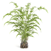 treez plants set 52