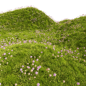 Grass Hills Meadow