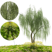 Grass Land Set