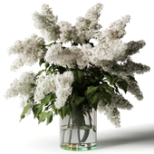 A bouquet of lilacs in a glass vase