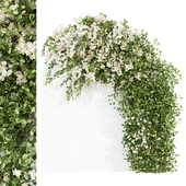 Outoor Plants Set 09