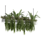 Indoorplants-Hanging plants set-79