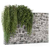 Hanging Plants in Concrete Wall 2651