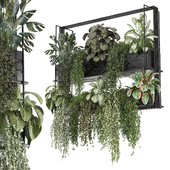 indoor hanging plants collecion 1530