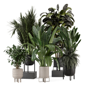 Indoor Plants in Ferm Living Bau Pot Large 2663