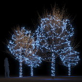 Holiday glowing young trees