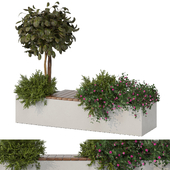 A Collection of Plants in The Minimal Garden 107