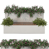 Plants in Minimal Garden Set Bush and Hanging Plant 108