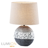 Lumion 8119-1T