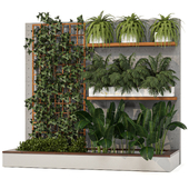 Backyard and Vertical Garden Plants 118