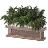 Plants in Metal Box Set 119