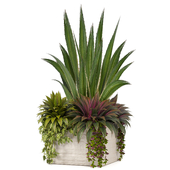 Plants in Box 123