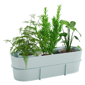 Houseplant 89 Vitlok Flower box