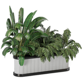 Plants In Metal Box Set 132