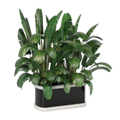 Tall Plants In Metal Box 133