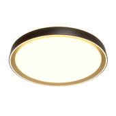 Citilux BOSS CL75145х LED RGB Светильник с пультом